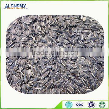 Healthy Food and Snack sunflower seeds with cheap price for hot sale