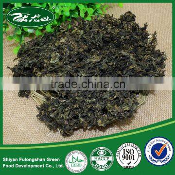 Low Price China Moss Raw Moss Nuts for Sale