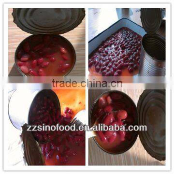 Canned Food Fresh Red Kidney Beans in Tomato Sauce