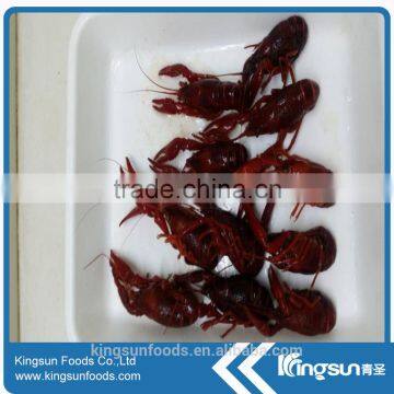 Best Supplier Frozen Water Cooked Crayfish / Crawfish photo-3
