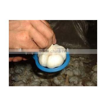 best offer chinese fresh normal White Garlic