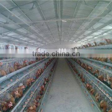 Chicken cage for sale, Poultry Farm House Design Layer Egg Chicken Cage