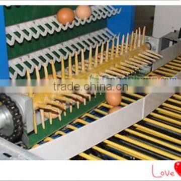 Most high quality Automatic egg collect equipment for chicken cage