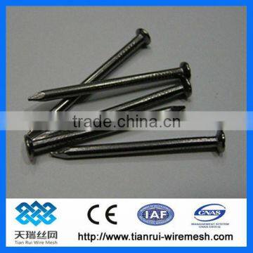 Electro galvanized iron nails (manufacturer)