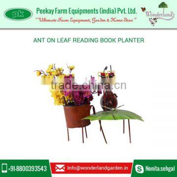 Good Quality Ant Design Garden Planter to Enhance your Garden Look