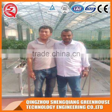 Rat Traps Modern Glass Greenhouse With Shading System Made in China photo-6