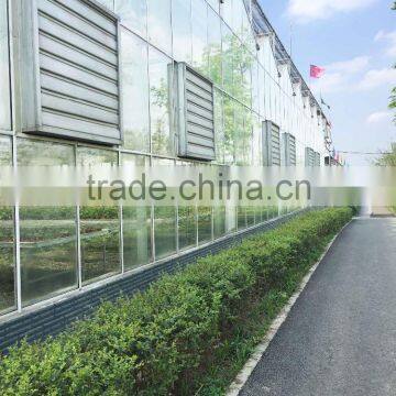 large used commercial glass agricultural greenhouses