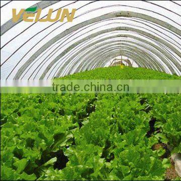 UV stablized PP spunbond nonwoven fabric for agriculture,crop cover,gardening