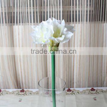 SJ13001116 Artificial Clivia Flower/silk Kaffir Lily Flores photo-2