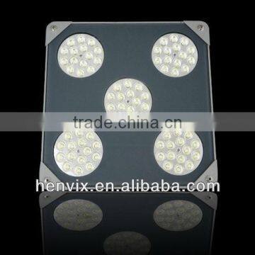 explosion proof canopy lights led