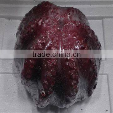 frozen octopus cheap price from superior factory