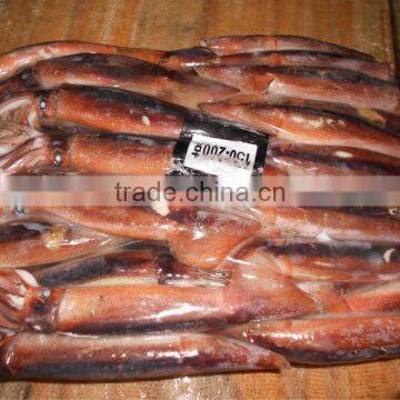 high quality frozen whole and round illex squid 200-300g