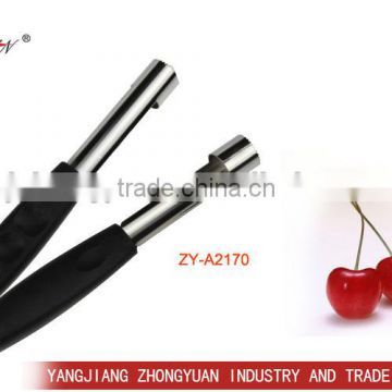 High quality kitchen tools apple corer slicer with plastic handle