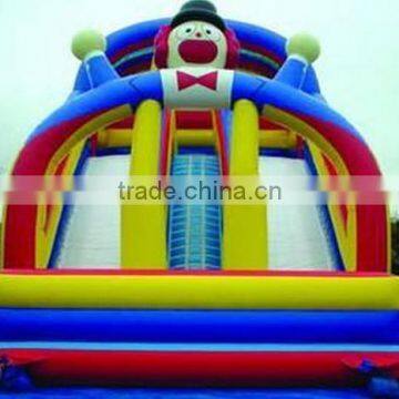 Inflatable Water Slide, Giant Inflatable Water Slide,inflatable Super Slides photo-5