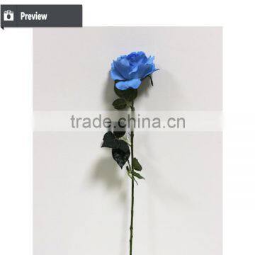 Rainbow Rose Flower Valentine's Gift Rose Flower photo-2