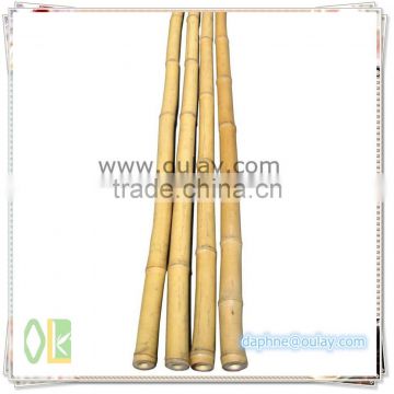 backyard scape in bamboo cane ,bamboo poles wholesale