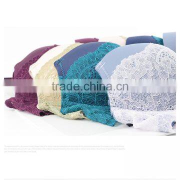 Net Western Style Underwear White Sexy Lace Bra Transparent Lace Bra photo-5