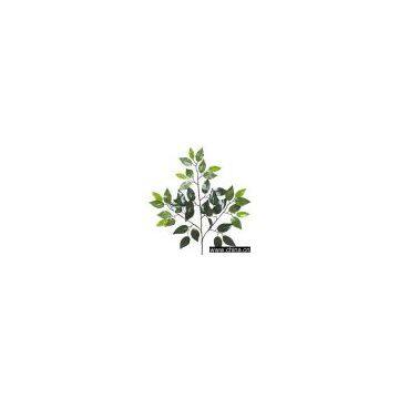 Artificial Leaves