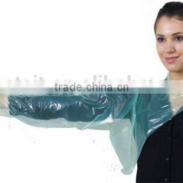 Disposable Clear Safty Food Grad Plastic Gloves photo-2