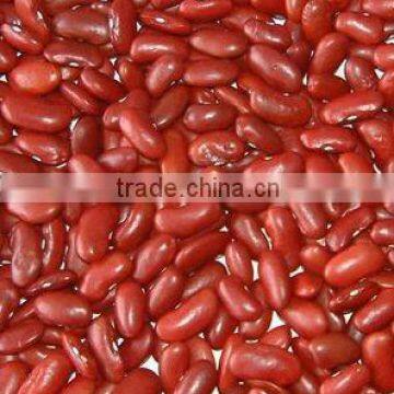 Britain Red Kidney Bean