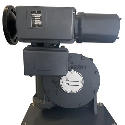 SKD Multi-rotary Electric Actuator photo-2