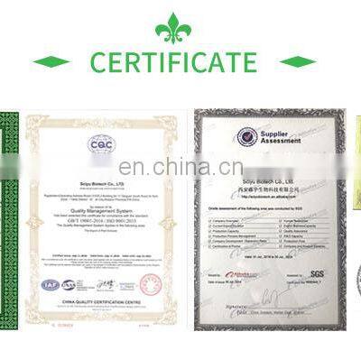 Sales! White Tea Extract Powder With Tea Polyphenol 30%~50%