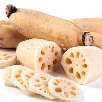 Lotus root Extract 5:1 TLC, White Lotus root extract, Nelumbo nucifera root extract, Nelumbo Nucifera Gaertn Extract