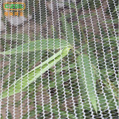 Anti Hail Net Anti Hail Net for Agriculture Hail System Net Antigranizo Granizo