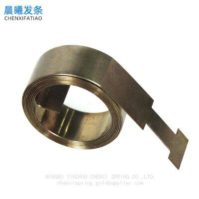 Stainless Steel Constant Force Spring for Boosters Fittings photo-5