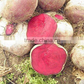 pure natural organic red beet