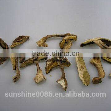Wild Mushroom Factory Supplier for Imports photo-2