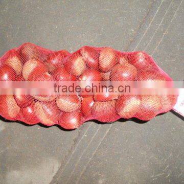 2015 best quality and price of the chestnut