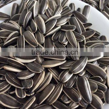 2014 new crop hybrid sunflower seeds