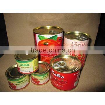 2015 canned tomato paste exporter