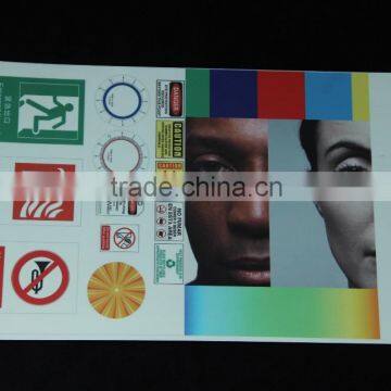 Luminescent Film/glow Film/glow Vinyl photo-6