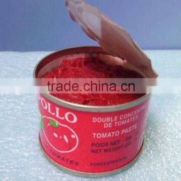 198g canned tomato paste