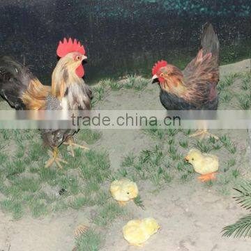 Life Size Chicken Family Simlation Chicken