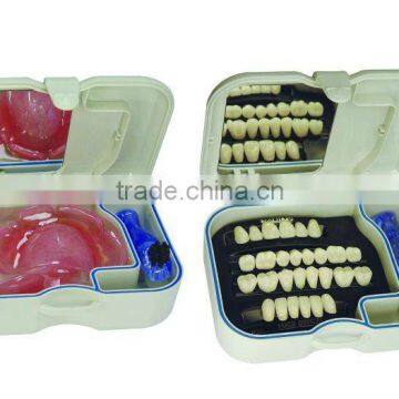 Acrylic teeth 4 LAYER KAIJING Denture Box