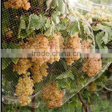 100% Virgin Pure HDPE Anti-hail Net photo-3
