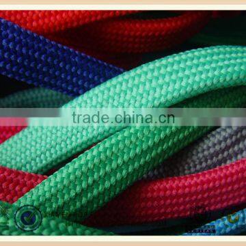 Polyester Shoelace With Plastic Tips Print With Custom Logo