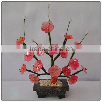 Jade pink wintersweet ,decorative money tree, jade tree