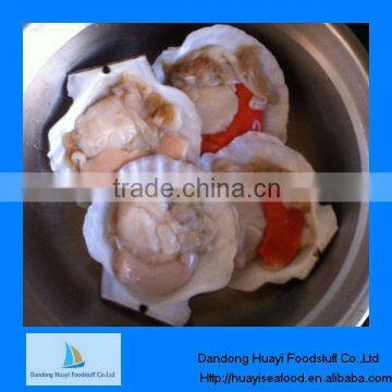 frozen cooked seafood scallop