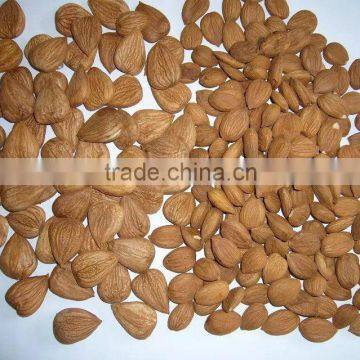Supply Bulk Sweet Apricot Kernels With Youyi Type photo-5
