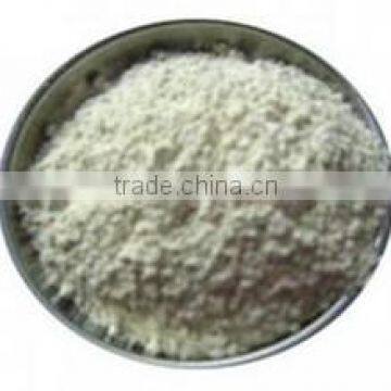 Horseradish powder from China iso manufacturer