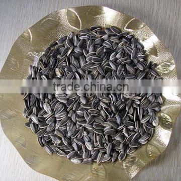 black sunflower seed market price