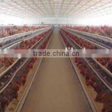 agricultural steel buildings steel structure design poultry farm shed