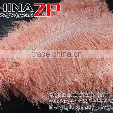 ZPDECOR Trade Assurance Leading Supplier Wholesale Size From 50-55cm Cheap Dyed Champagne Ostrich Feather photo-3
