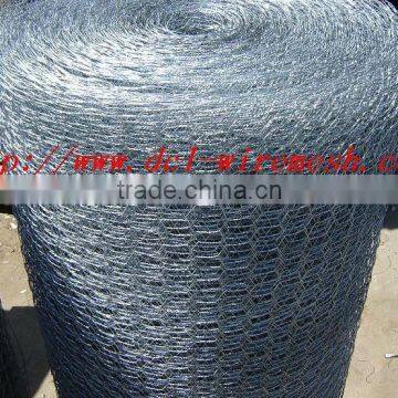 bird cage wire mesh