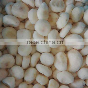 Best quality iqf frozen water chestnuts organic water chestnut