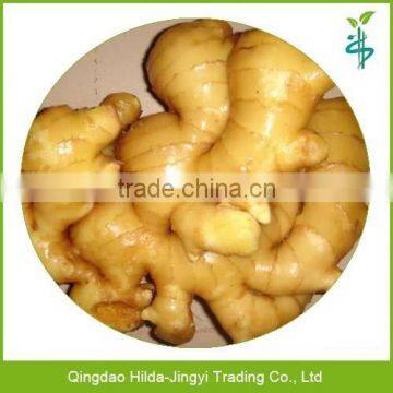 2015 fresh ginger wholesale fresh ginger